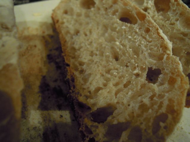 DSCN2445.jpg